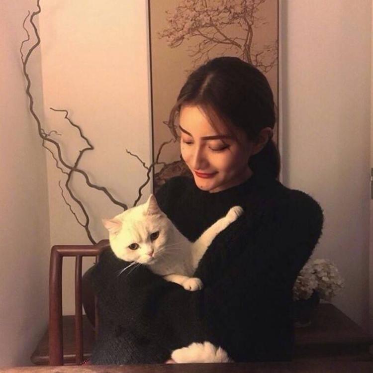 雪代缘（身份：雪代巴弟弟、上海黑帮老大、虎伏绝刀式使用者） - 体育赛事直播在线观看 - 手机看电影